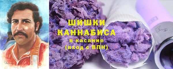 мдпв Вяземский