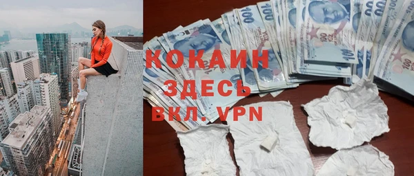 мдпв Вяземский