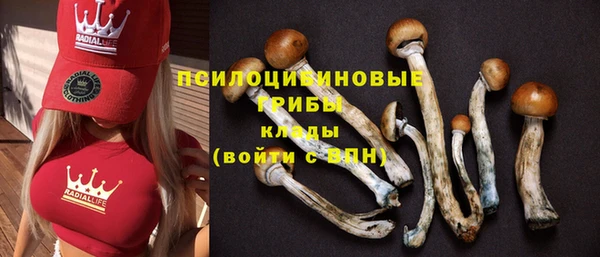 мдпв Вяземский