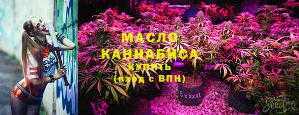 мдпв Вяземский